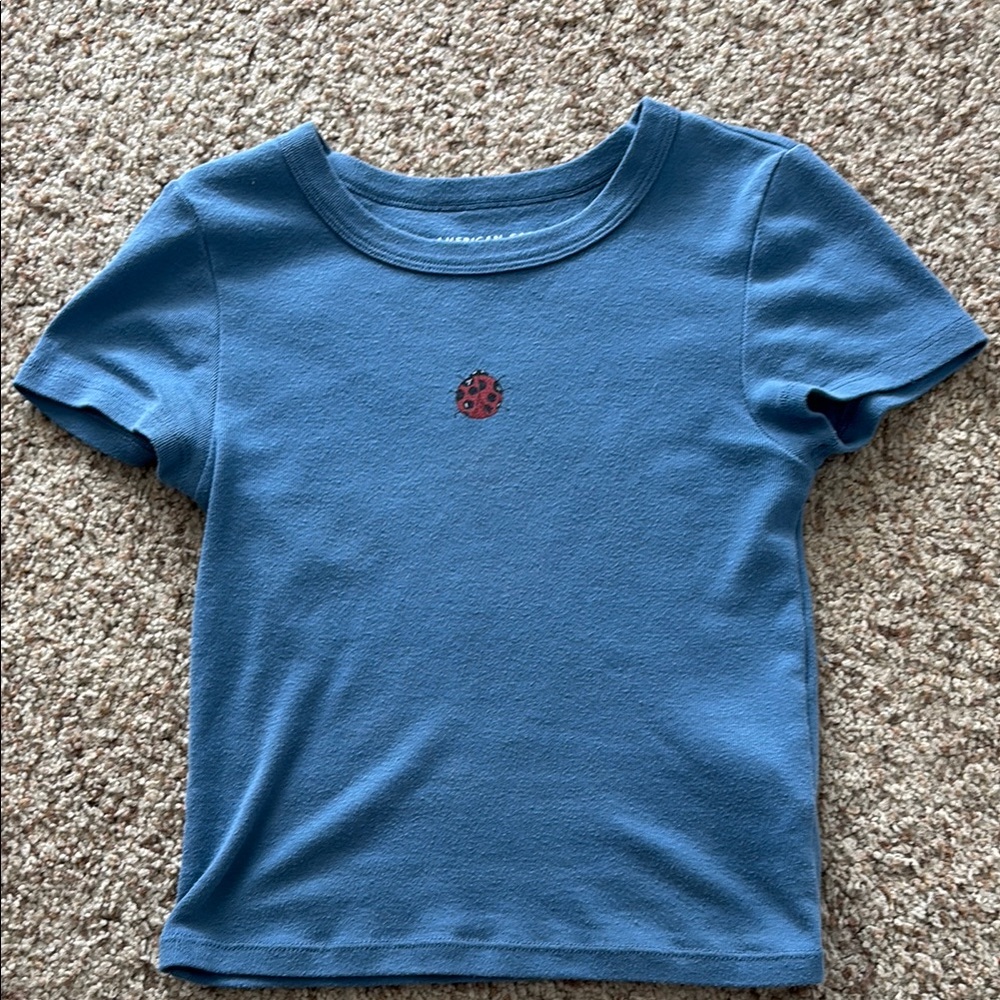 American Eagle Outfitters Blue Crew Neck Tee